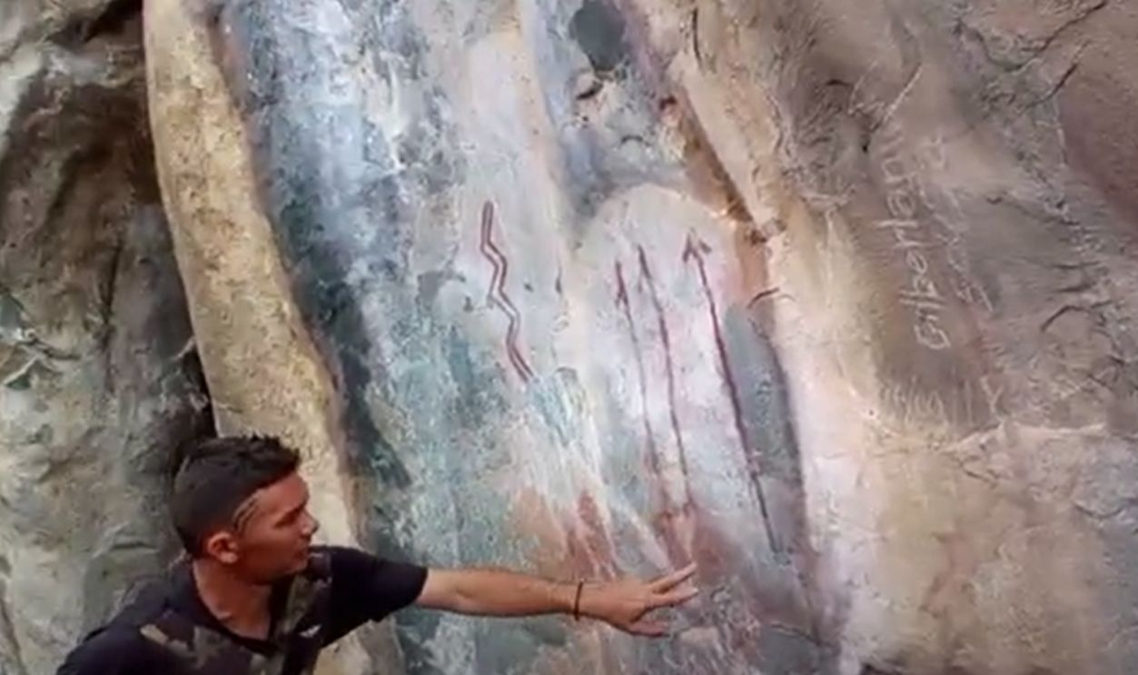 Dinoturbation Tracks