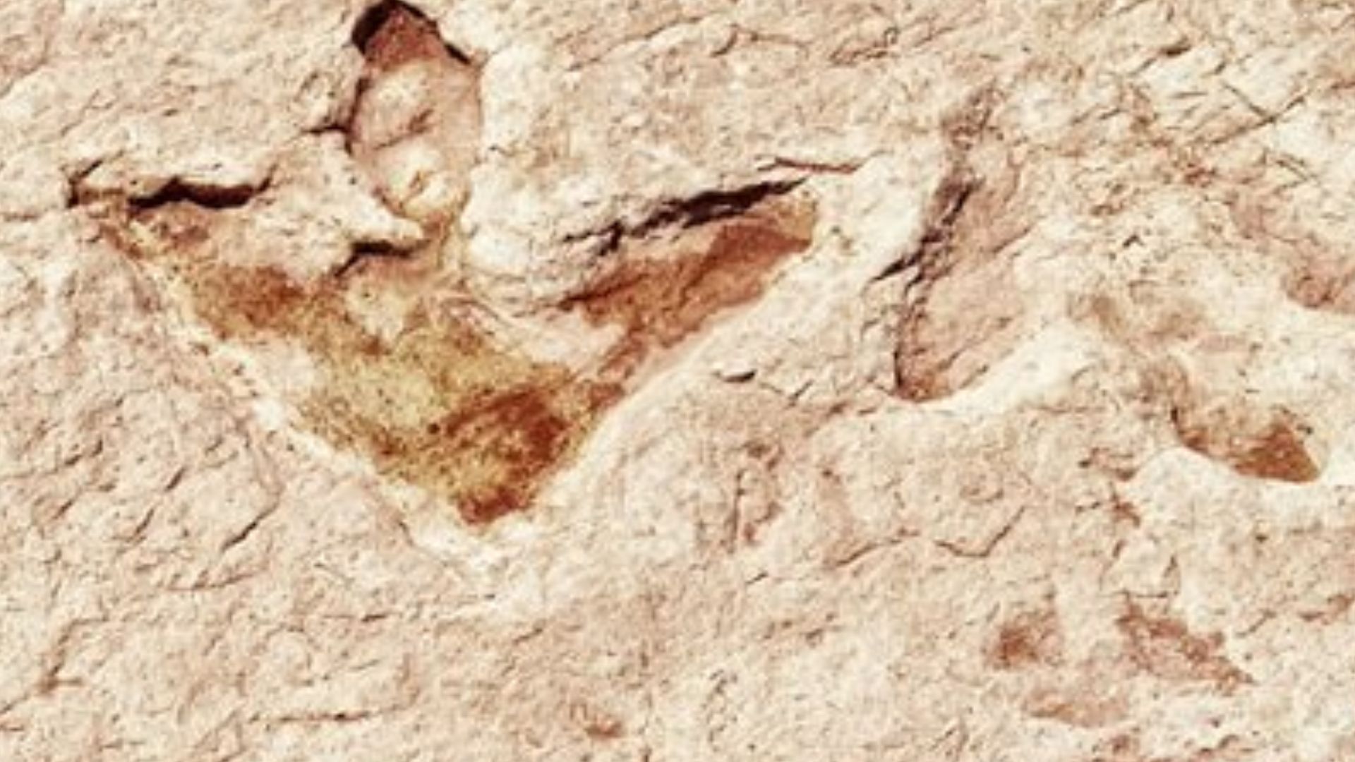 File:Dinosaur-footprints.jpg