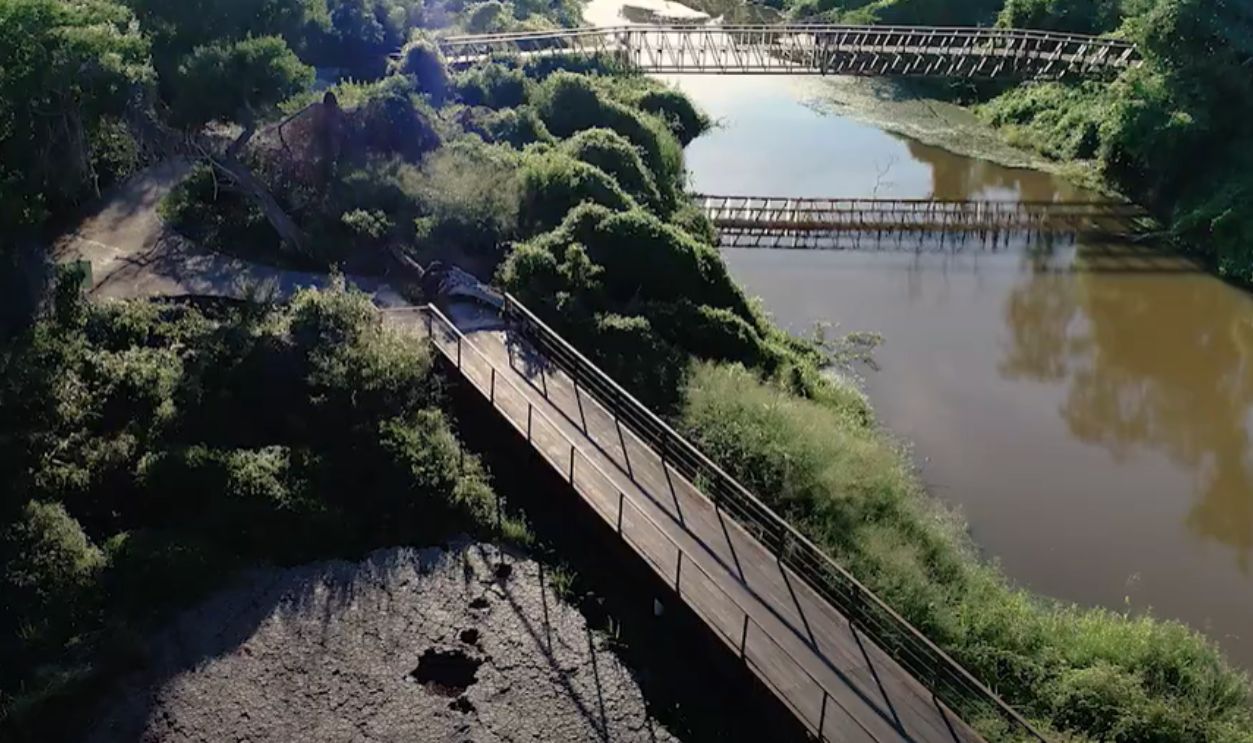 Dinoturbation Tracks 