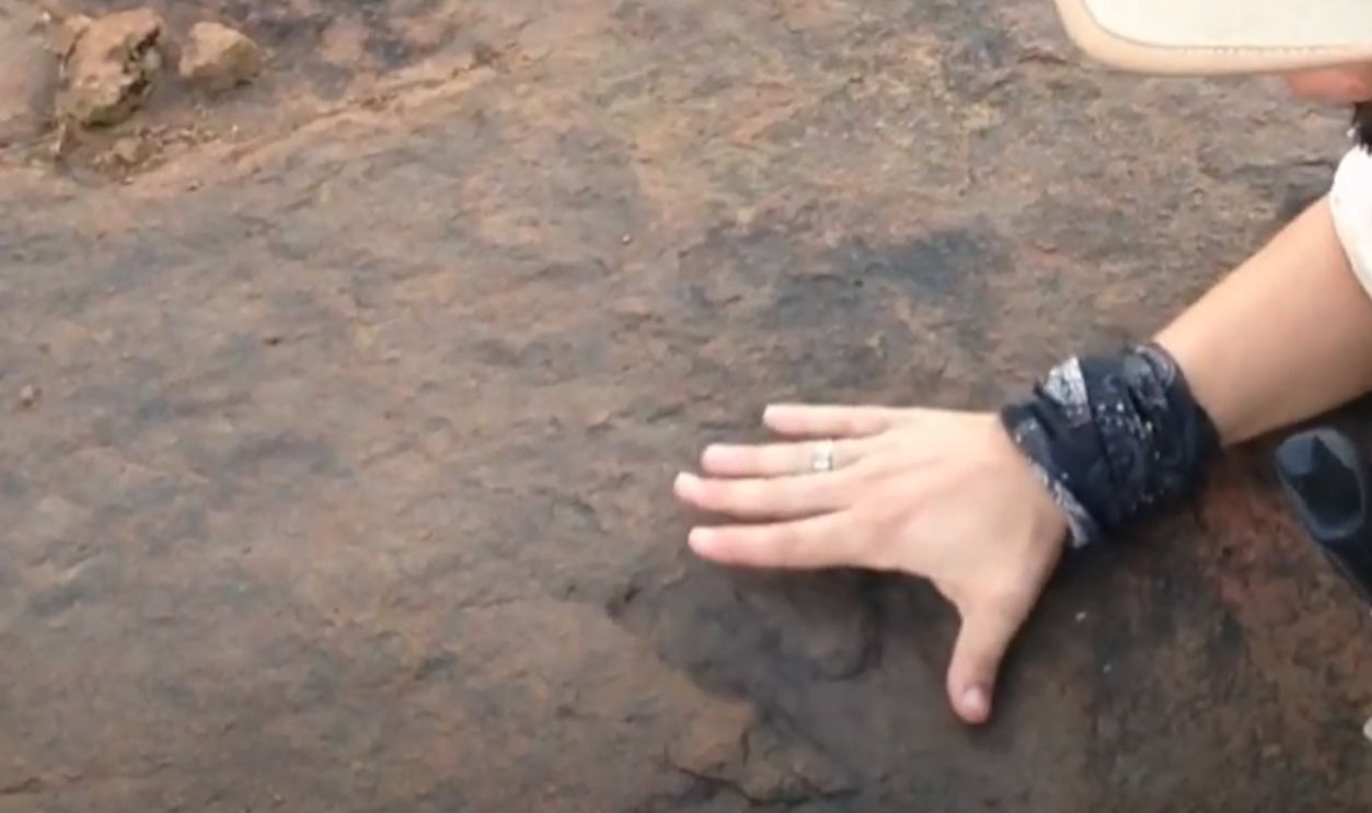 Million year old dinosaur footprints