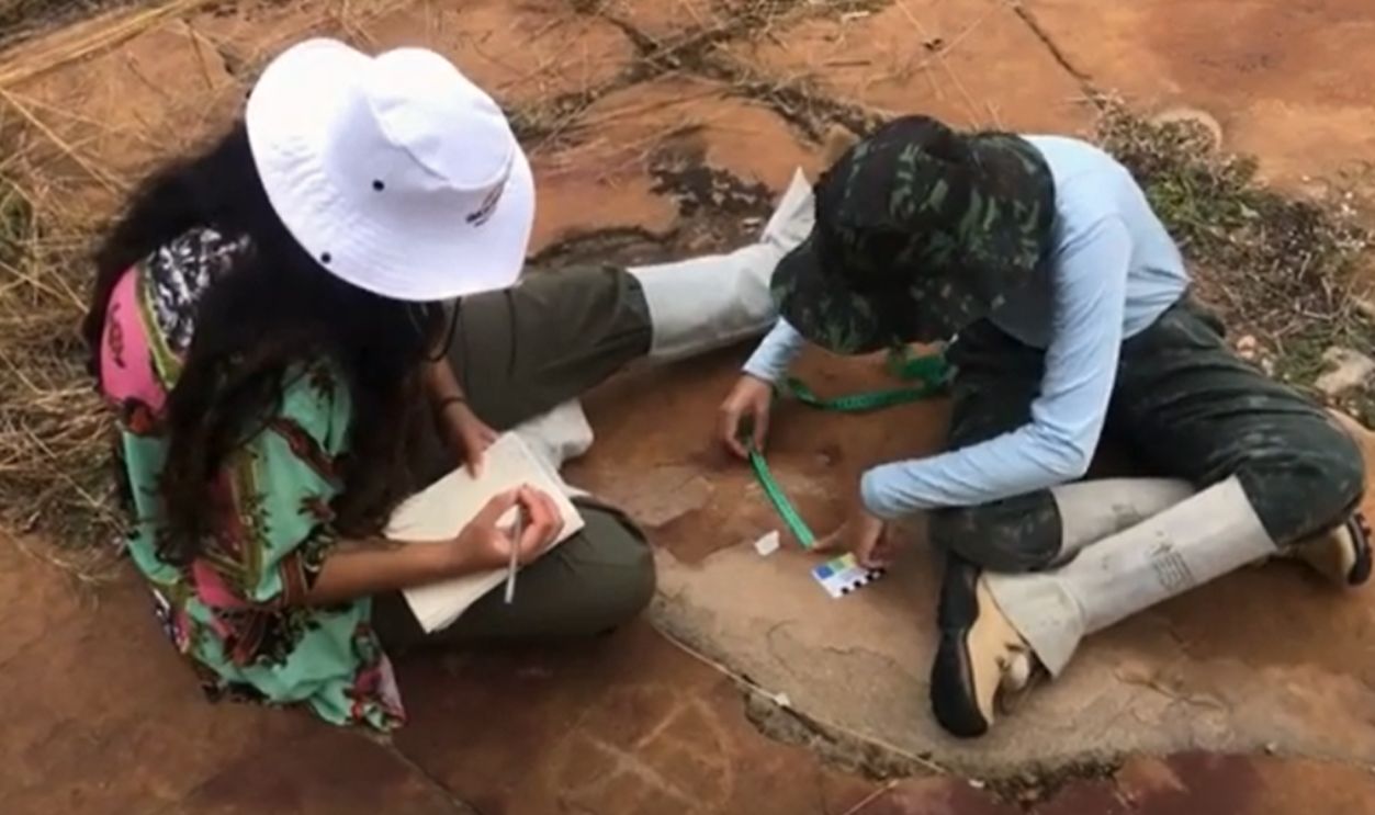 Million year old dinosaur footprints 