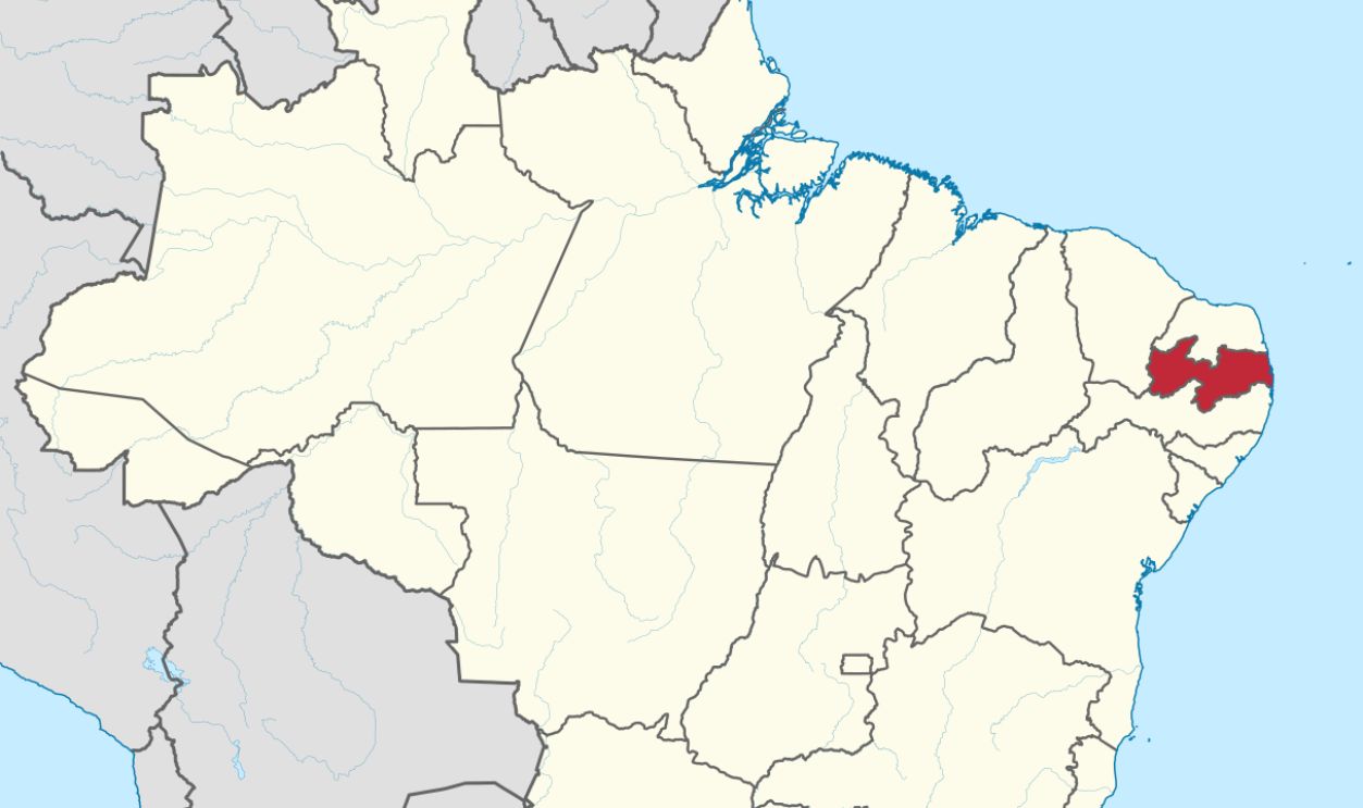 Untitled Design (19)