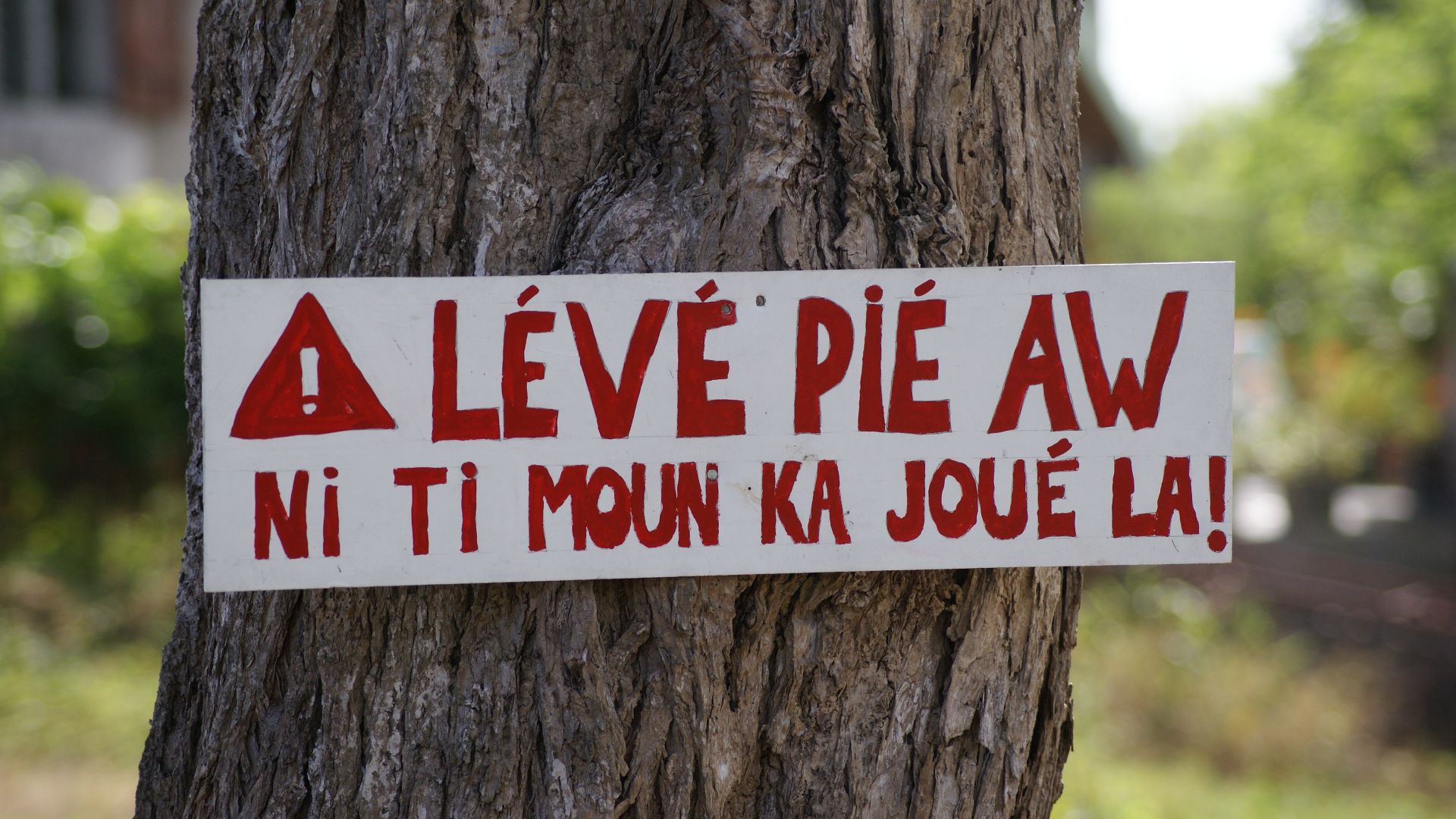 File:Guadeloupe creole 2010-03-30.JPG