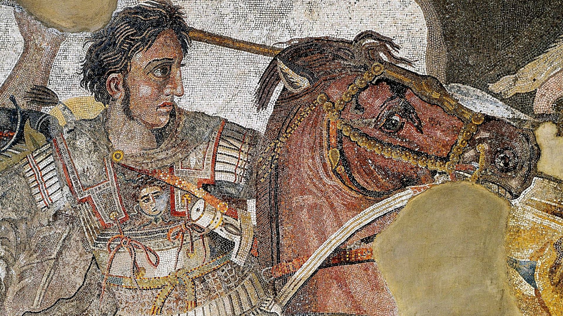 File:Alexander the Great mosaic.jpg