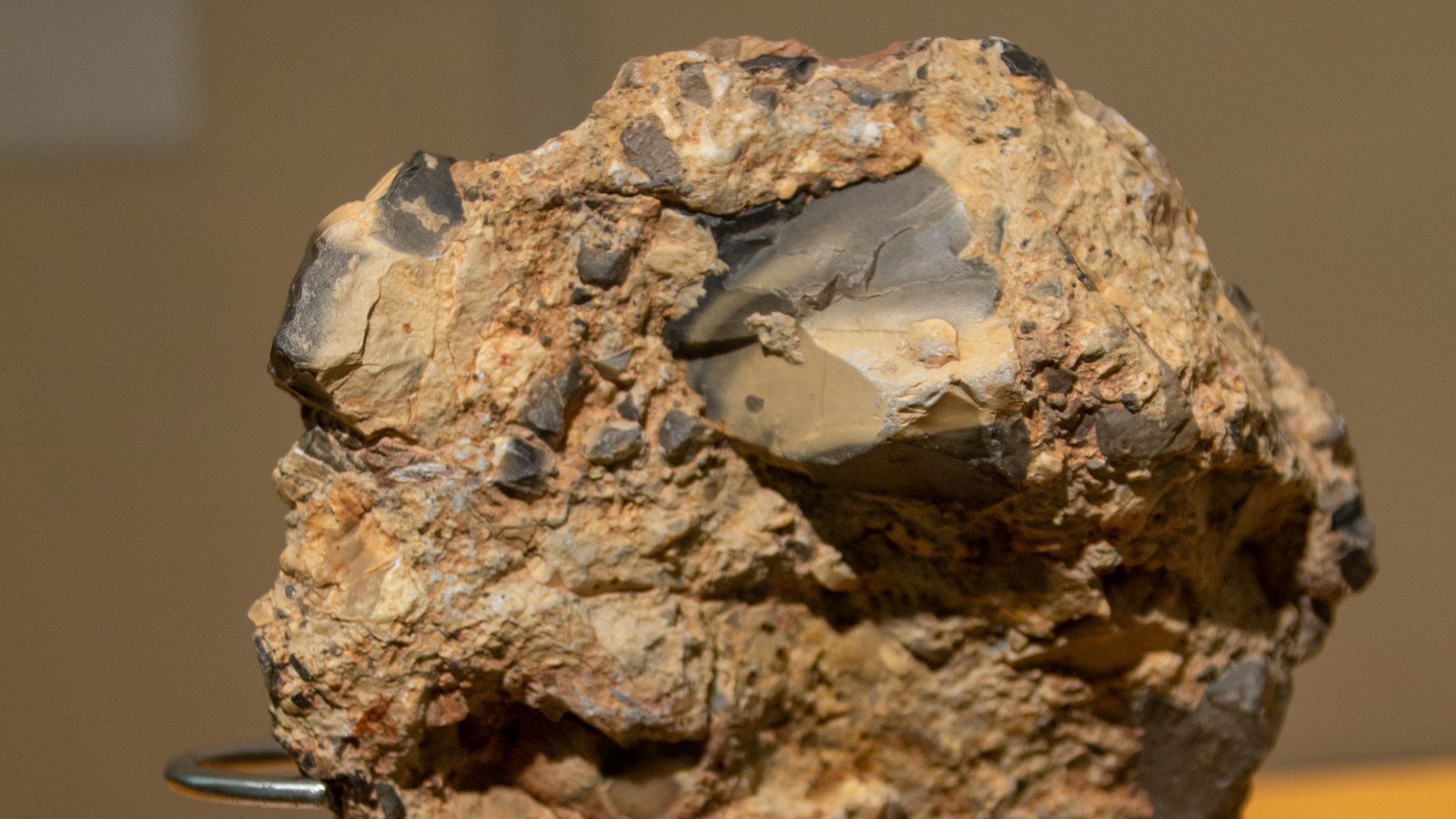 File:Museo de la Naturaleza y el Hombre 2019 063.jpg