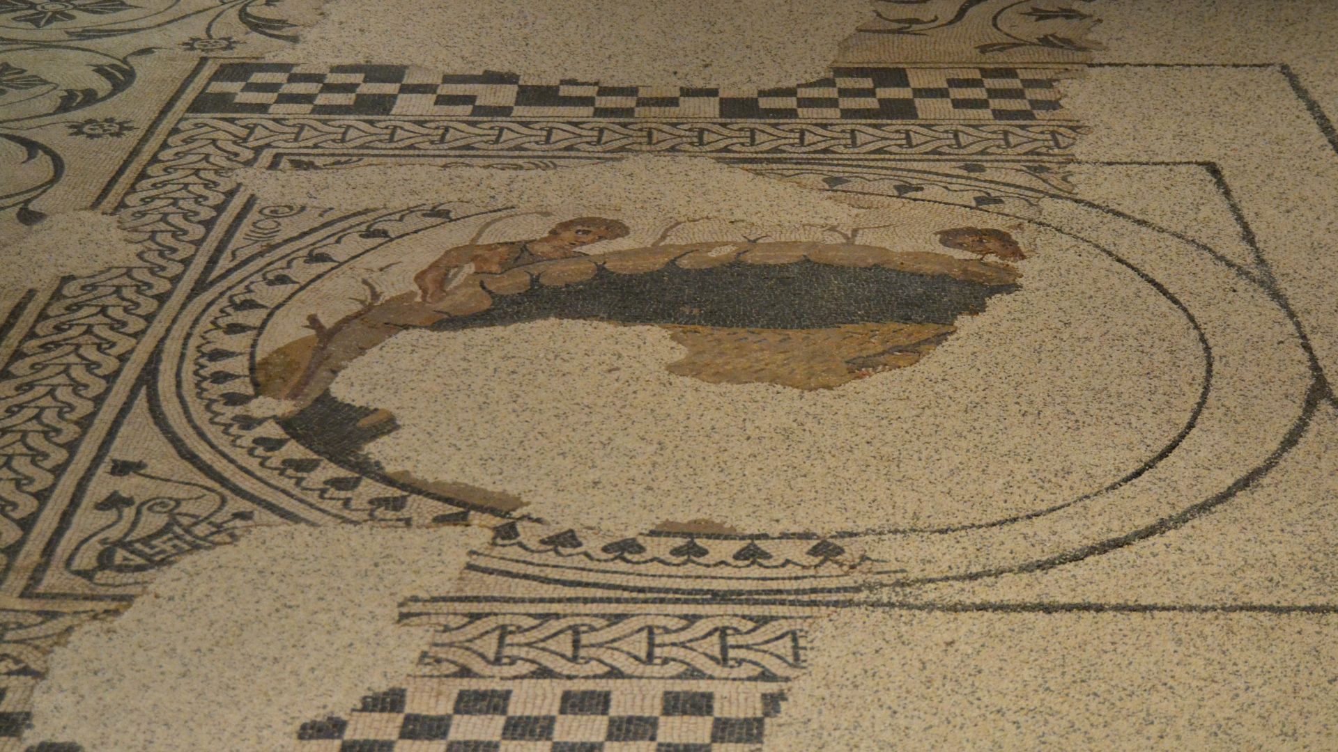 File:Medalló central del mosic de la vil·la de la Font de Mussa, Benifaió (Museu de Prehistòria de València).JPG