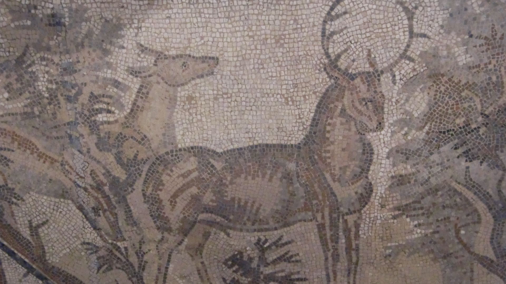 File:Lillebonne mosaïque 19.JPG