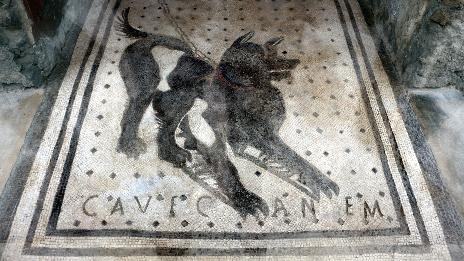 File:Casa del poeta tragico, mosaico del cave canem.jpg
