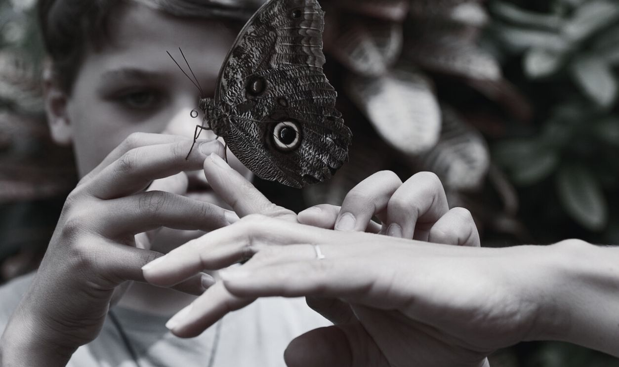 Campers Carrying Around Dead Insects Or Animal Parts