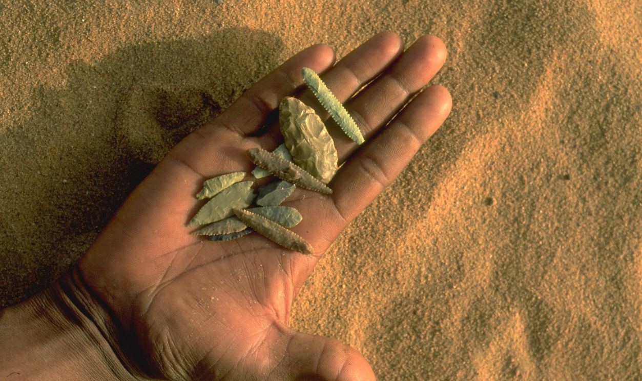 Theodore Monod's Expedition to the 