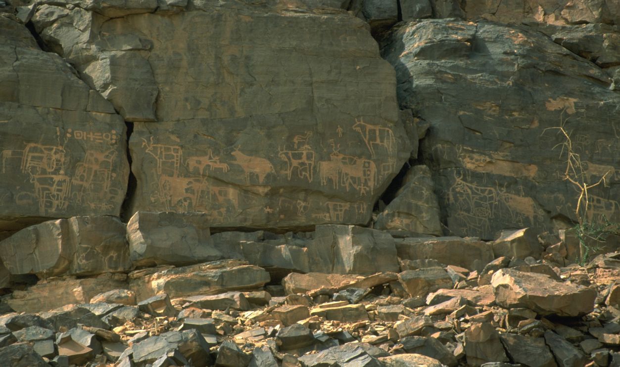 Theodore Monod's Expedition to the 