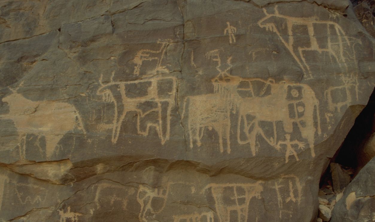 Theodore Monod's Expedition to the 