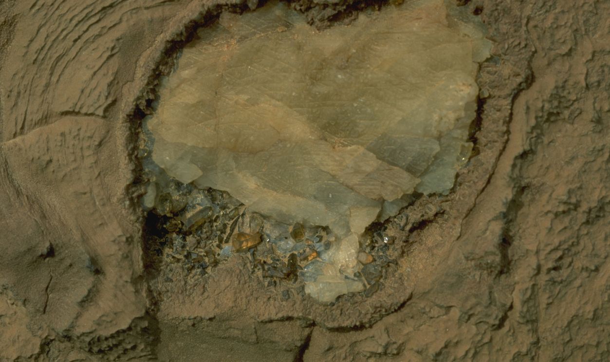 Theodore Monod's Expedition to the 