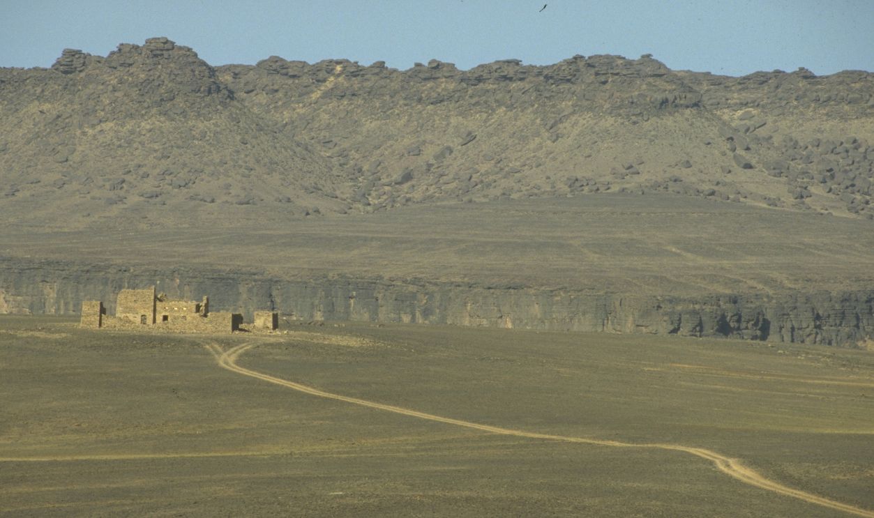 Theodore Monod's Expedition to the 