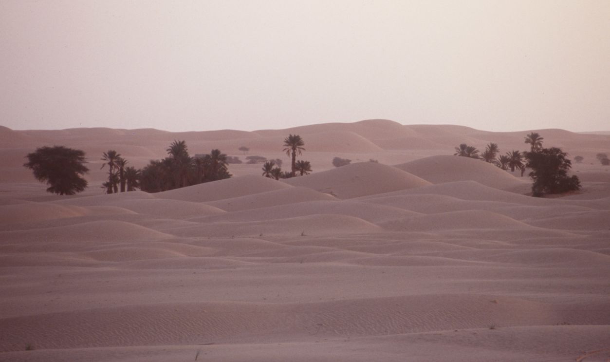 Theodore Monod's Expedition to the 