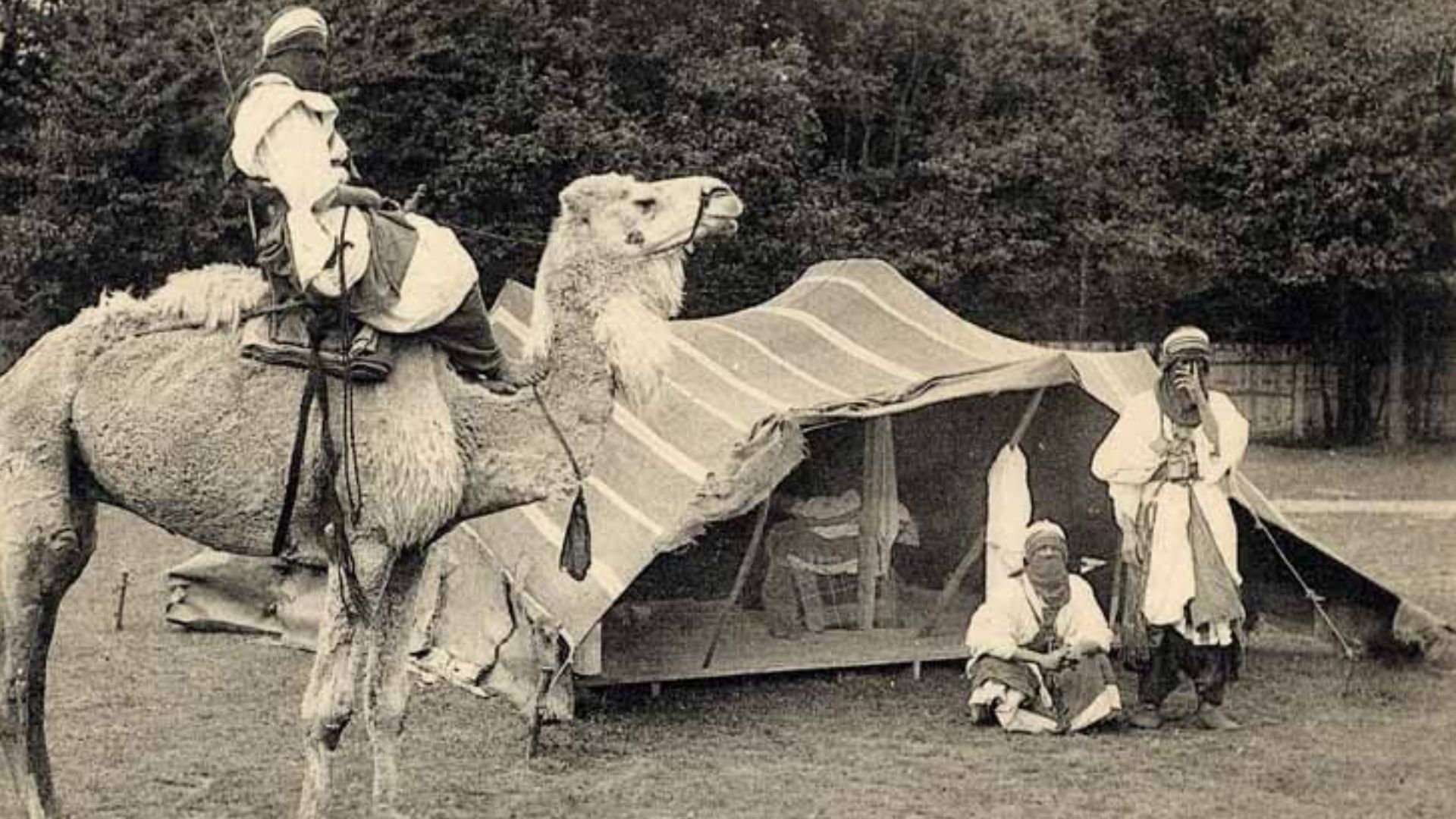 File:Tuareg 1907.jpg