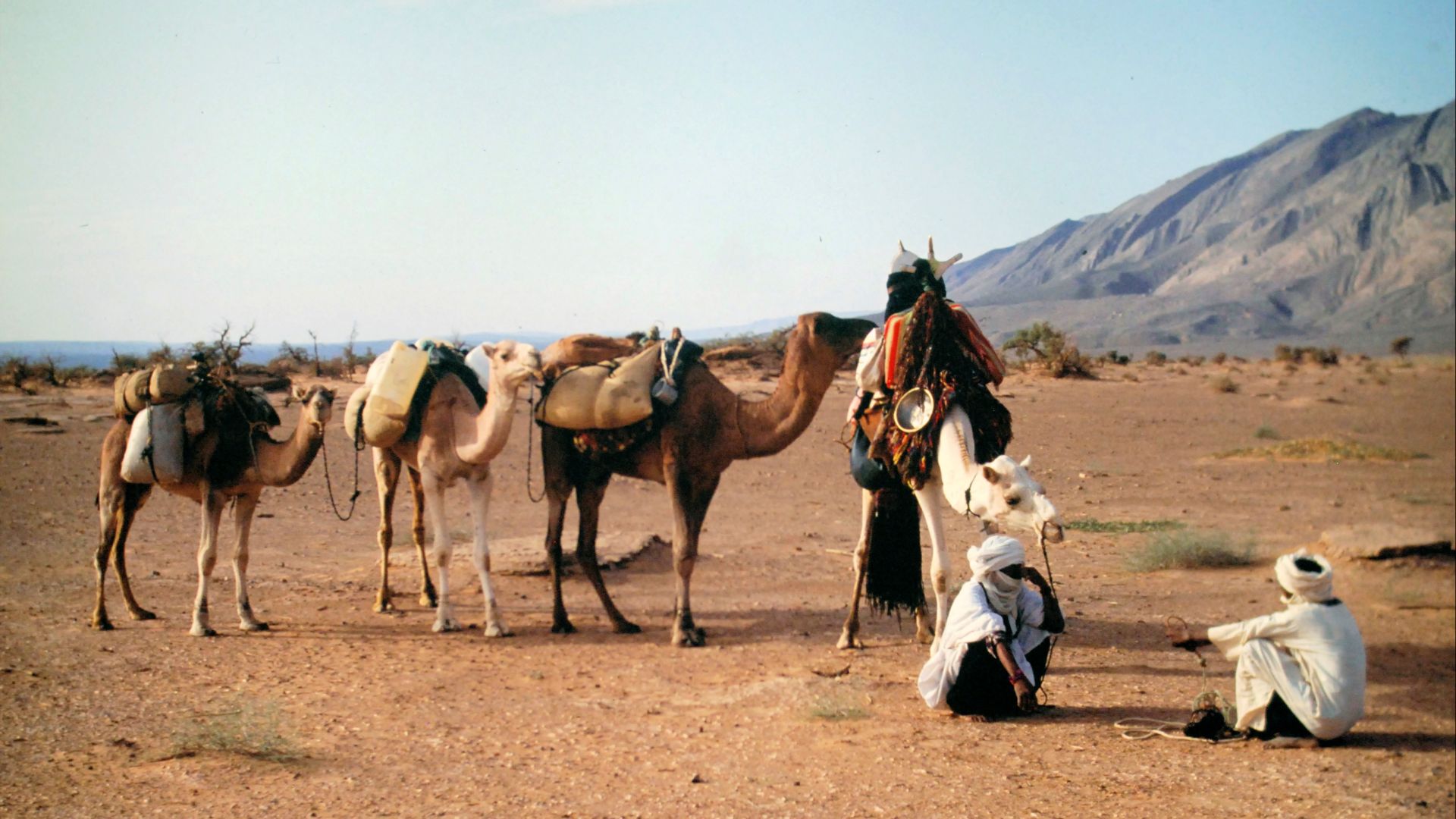 File:Two Tuareg nomads meet on the way.jpg