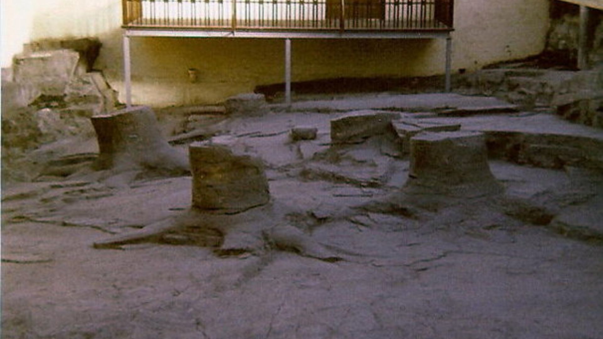 File:Fossil Tree Stumps at Fossil Grove Glasgow 1977.jpg