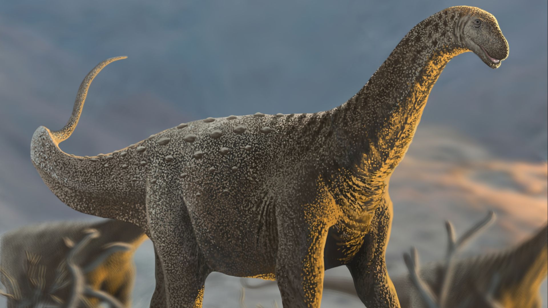 File:Rocasaurus muniozi.jpg