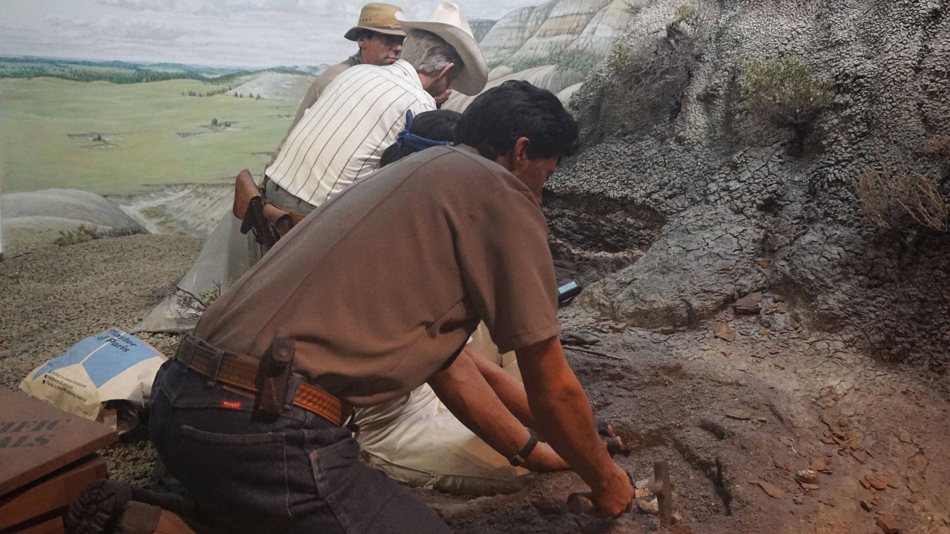 File:Milwaukee Public Museum November 2022 014 (Exploring Life on Earth--Hell Creek Formation Montana Today).jpg