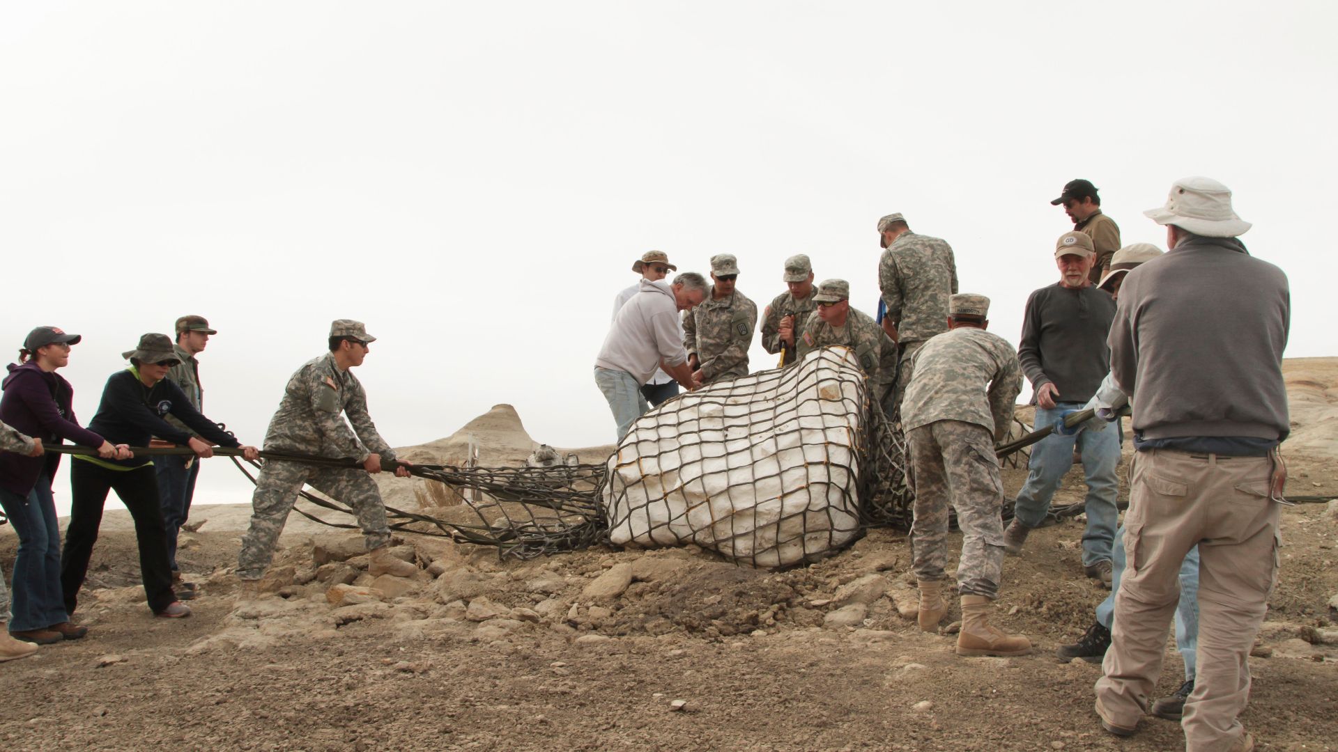 File:New Mexico National Guard with Pentaceratops.jpg