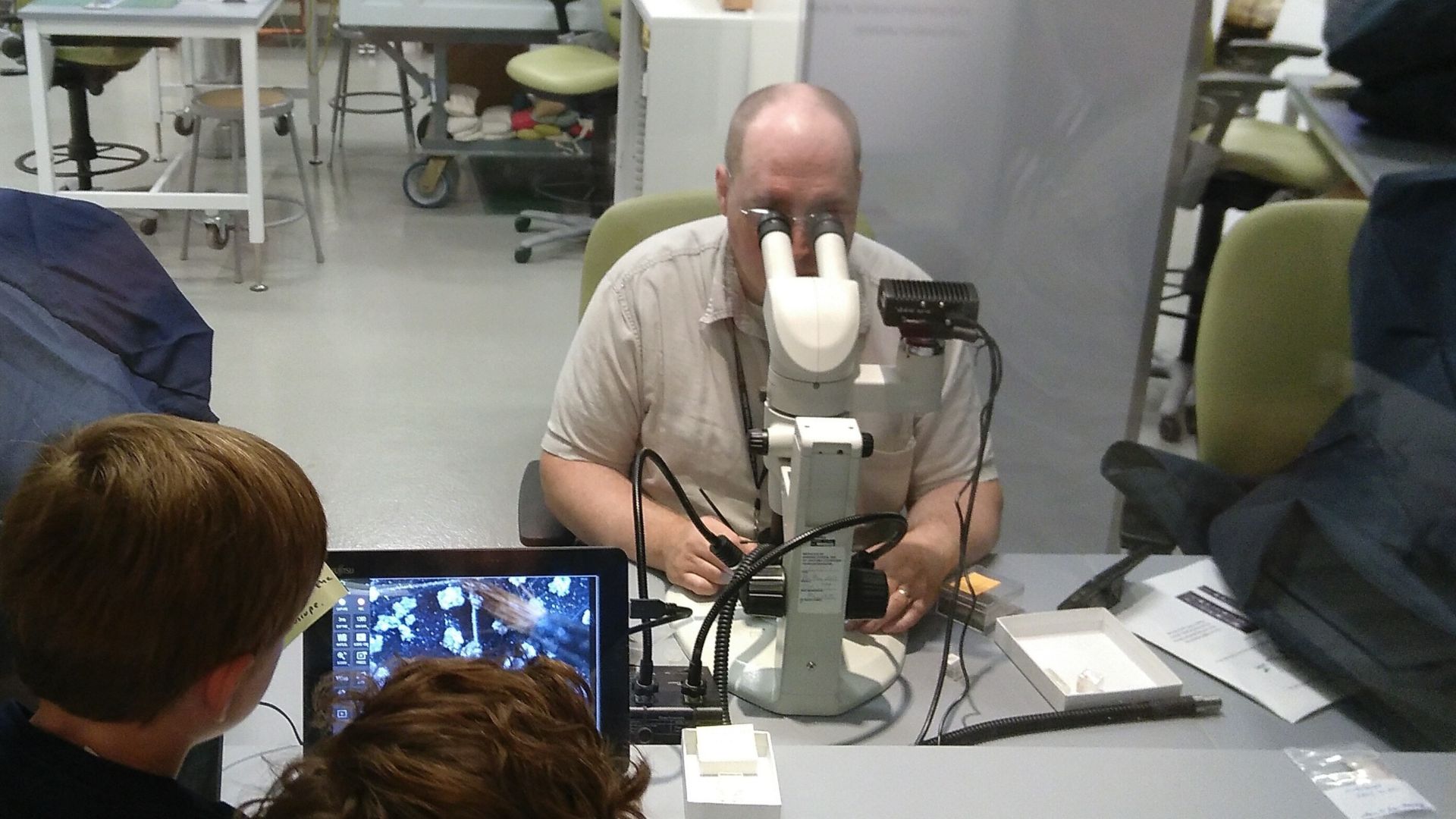 File:Smithsonian FossiLab at the National Museum of Natural History with fossil preparators being observed by museum visitors - IMG 20190728 153249.jpg