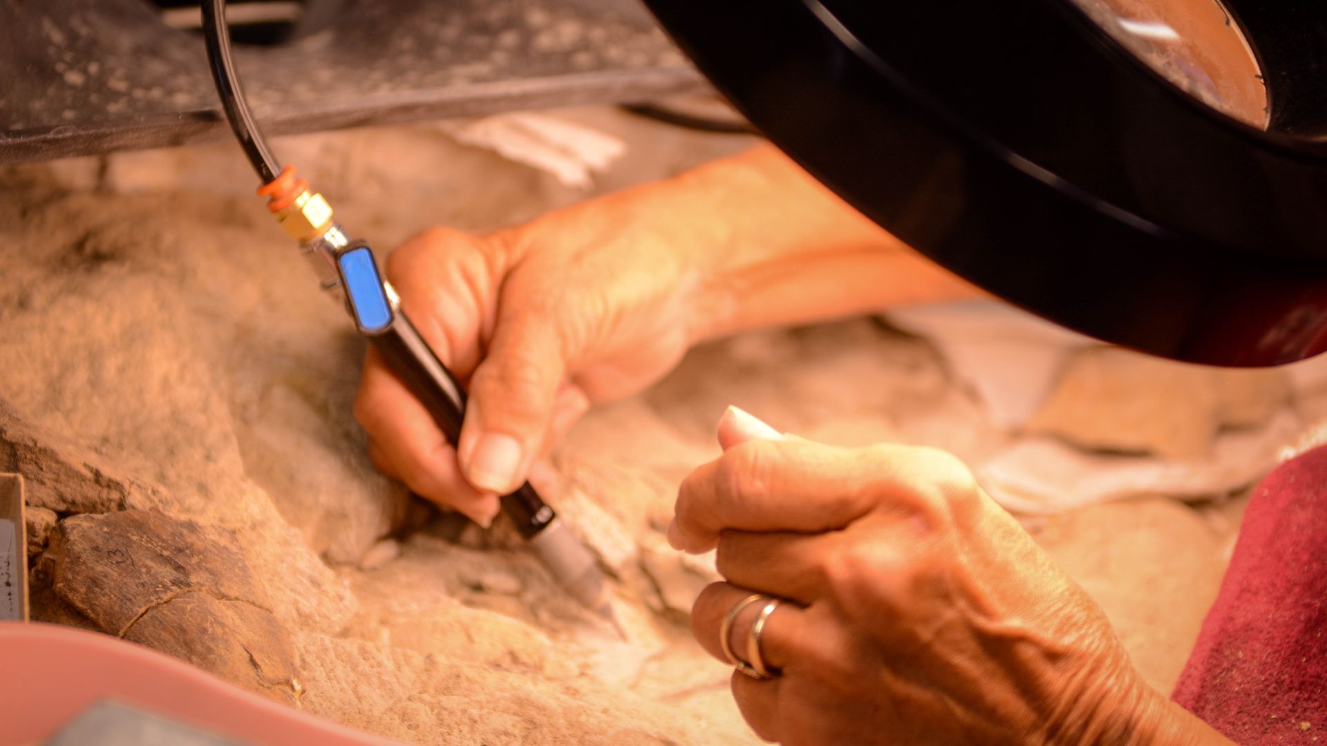 File:Grand Staircase-Escalante National Monument- Paleo Lab (48250447596).jpg
