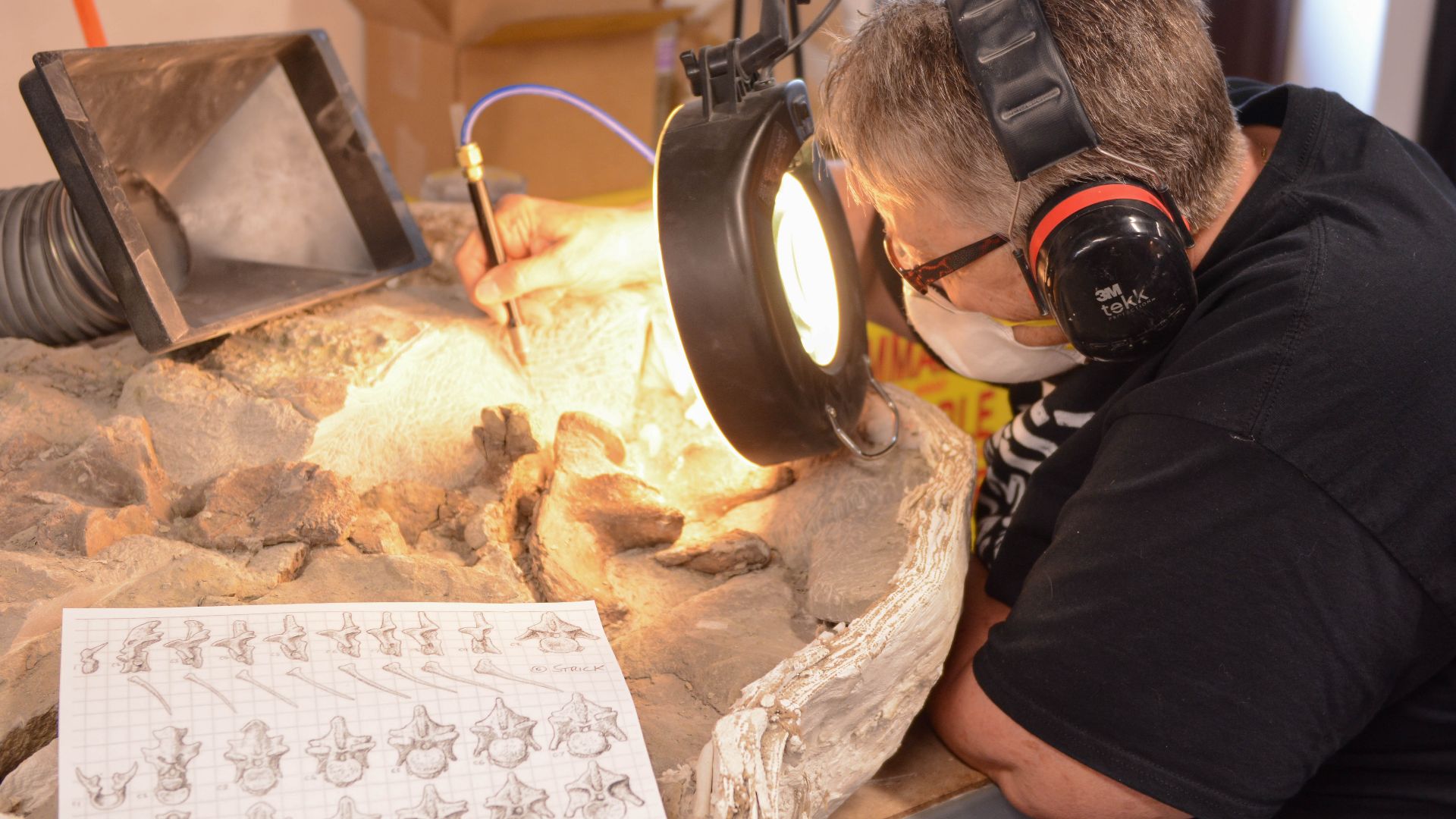 File:Grand Staircase-Escalante National Monument- Paleo Lab (48250526007).jpg