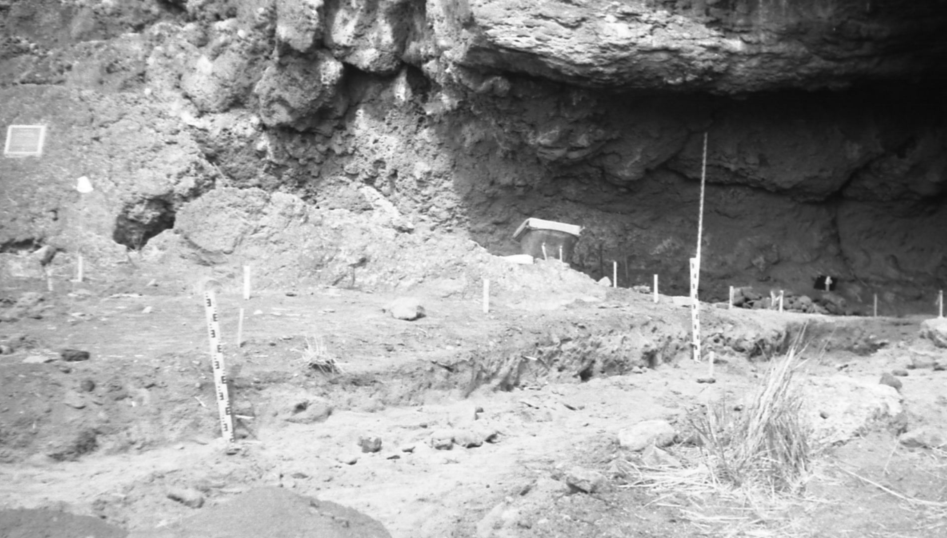 File:University of Oregon archaeological excavations at Fort Rock Cave, Oregon (USA), 1966.jpg