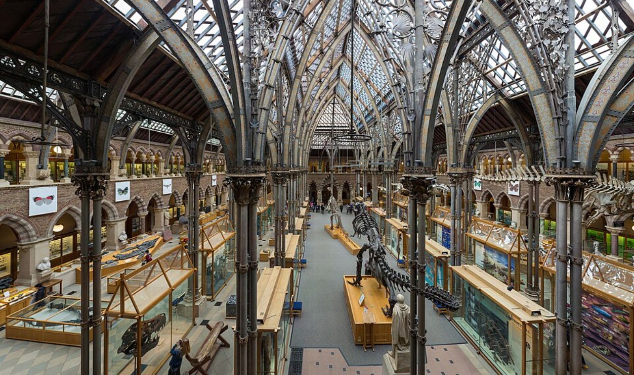 Displaying For Public Education