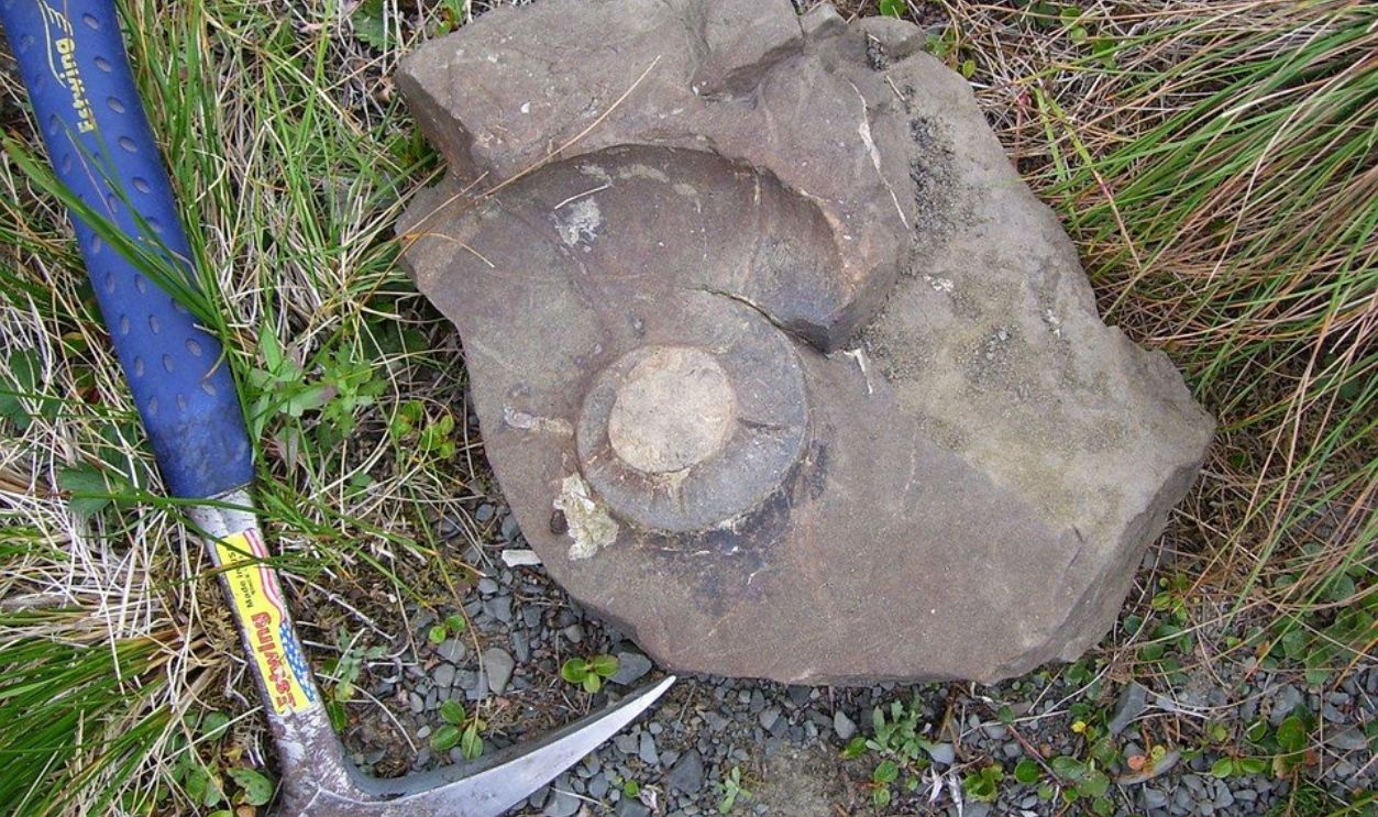 Cleaning The Exposure With Precision Tools