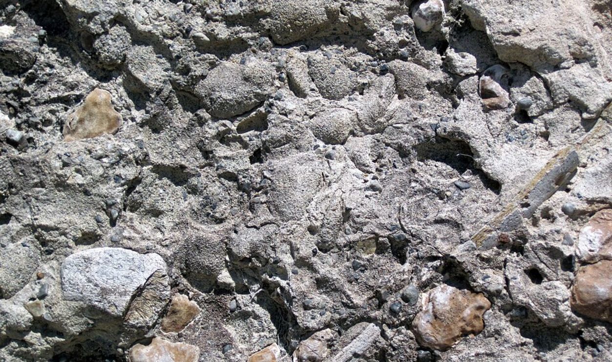 Verifying Fossil Identity In-Field