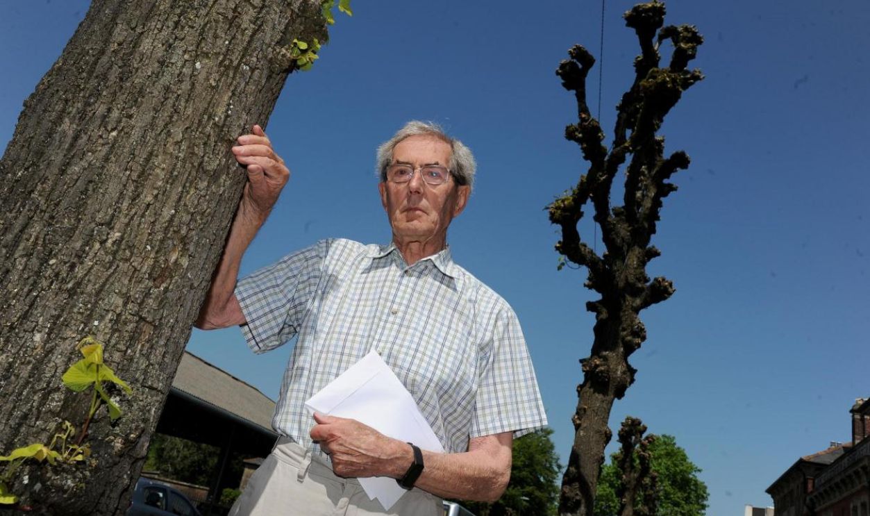 Intro And Gallery (4)