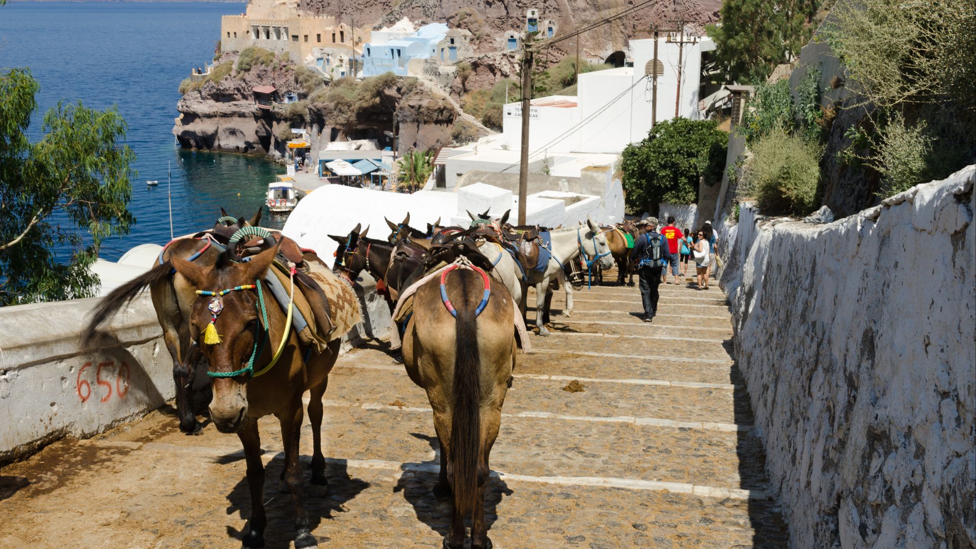 File:Donkey trail - Fira - Thira - to Mesa Gialos port - Santorini - Greece - 05.jpg