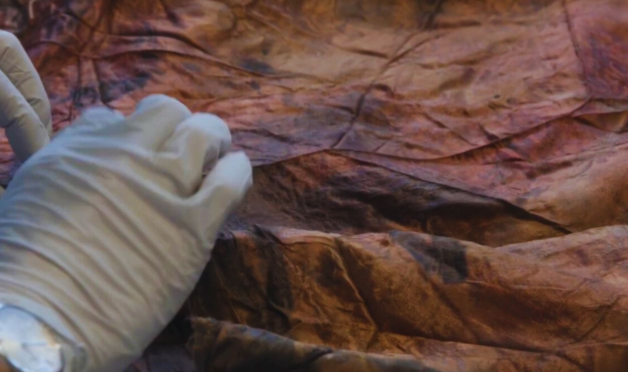 Treasure or curse? #1 | THE GOWN AND THE SHIPWRECK