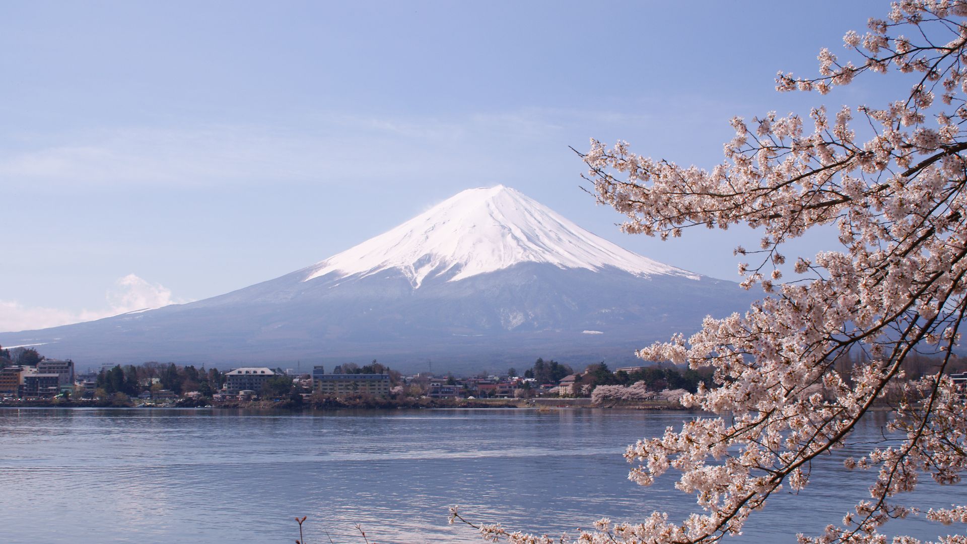 File:Lake Kawaguchiko Sakura Mount Fuji 4.JPG