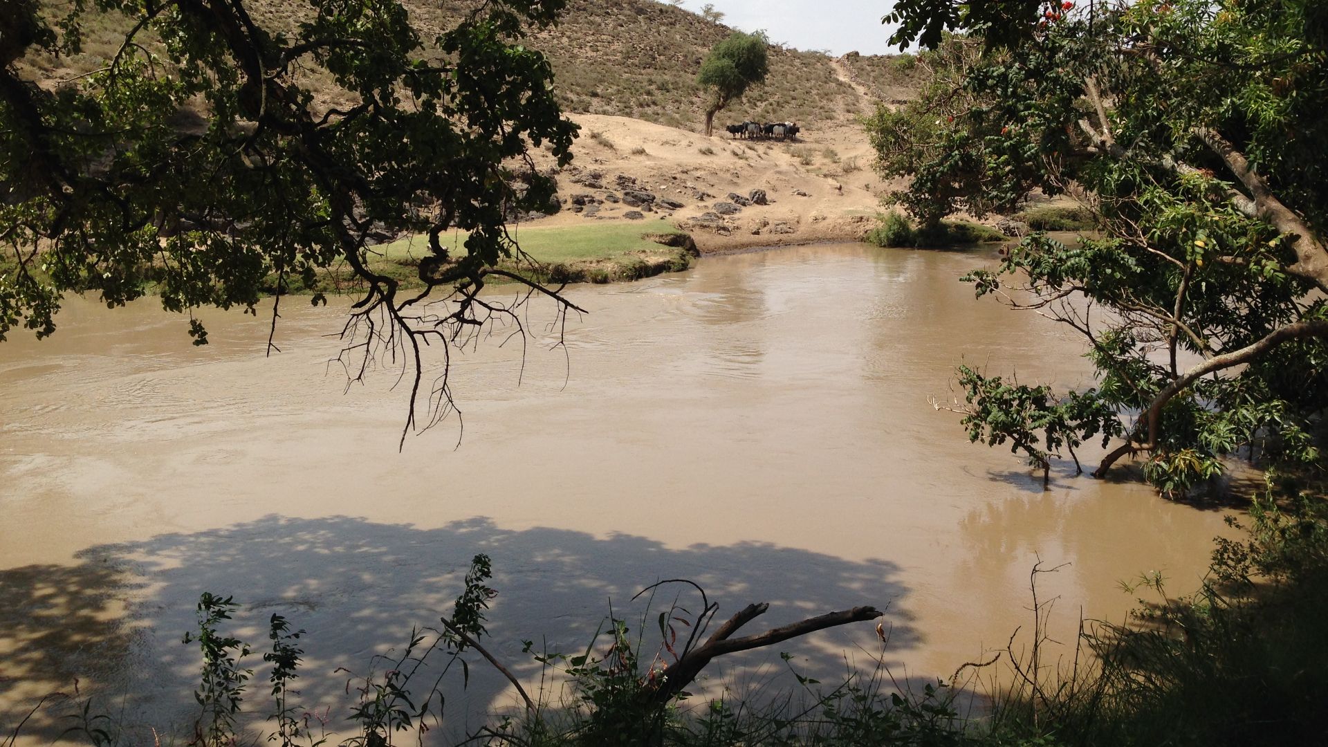 File:The Awash River.jpg