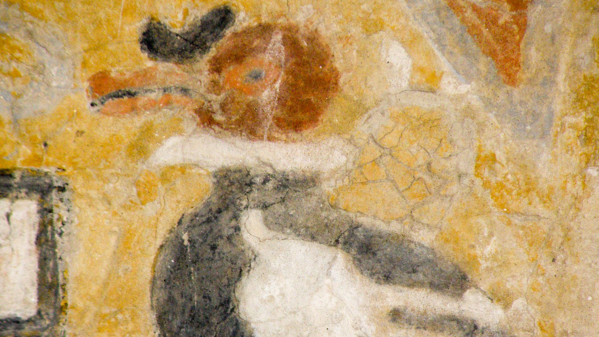 File:ElBrujoSite (29).jpg