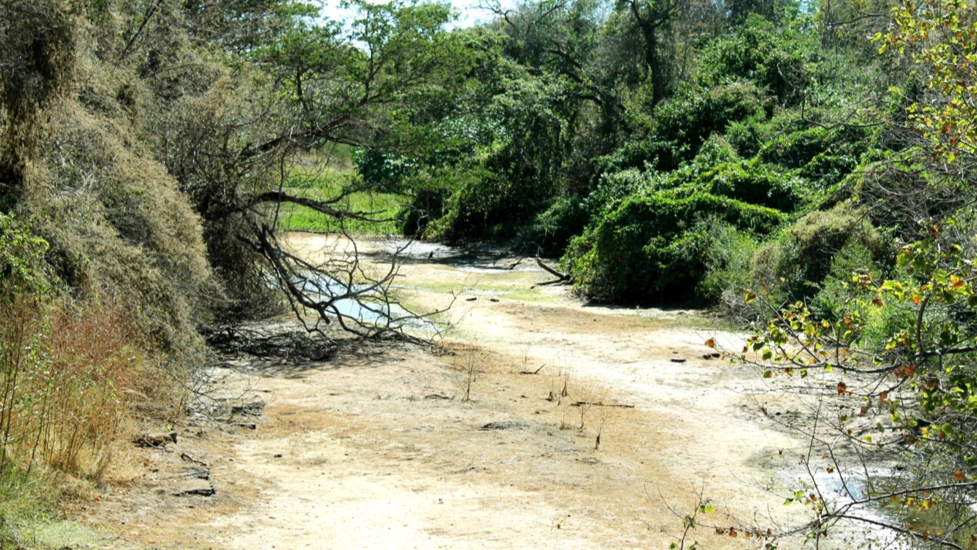 File:Vale dos Dinossauros.jpg