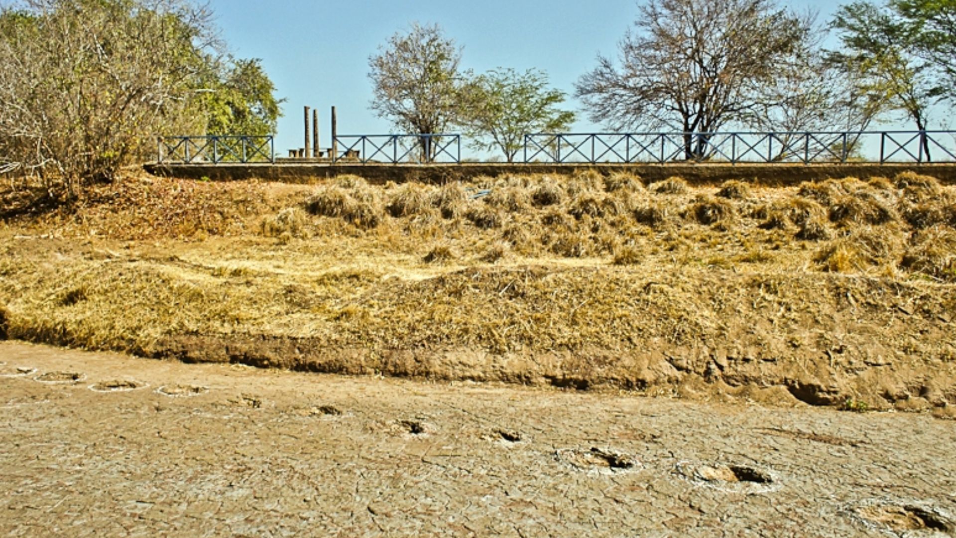 File:Vale dos Dinossauros na cidade de Souza sertão da Paraíba Brasil.jpg