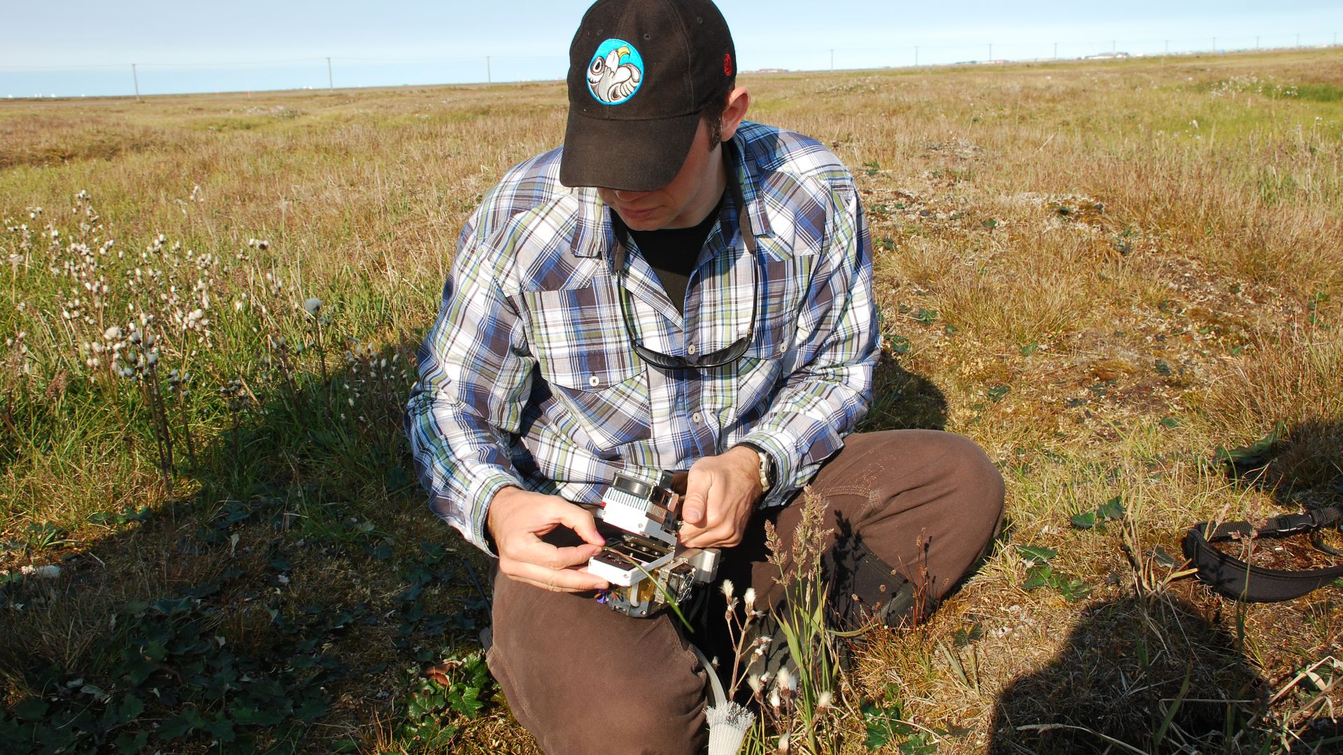 File:NGEE Arctic field research in Alaska (26923317978).jpg