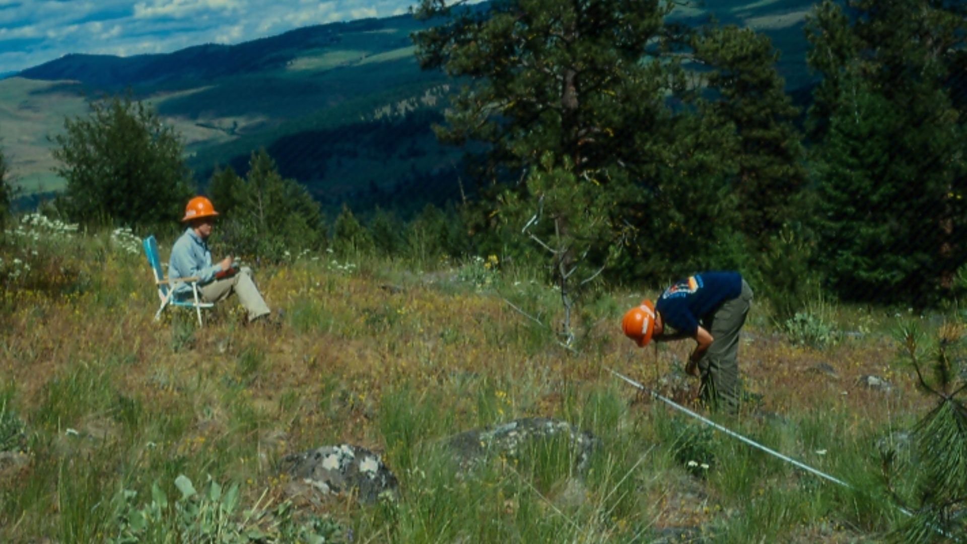 File:Rangeland monitoring using Parker 3-step Method, Okanagan Washington 2002 (2).jpg