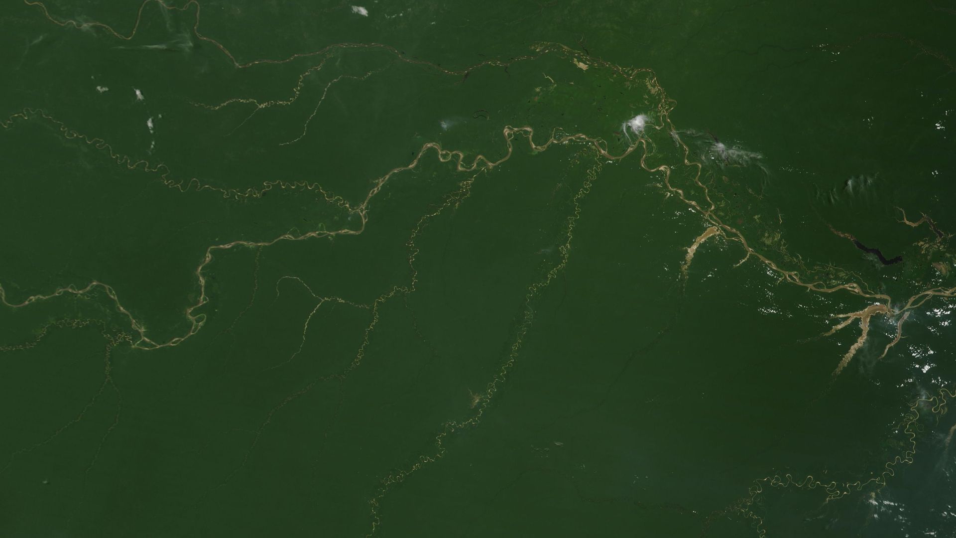 File:Amazon Basin (MODIS).jpg