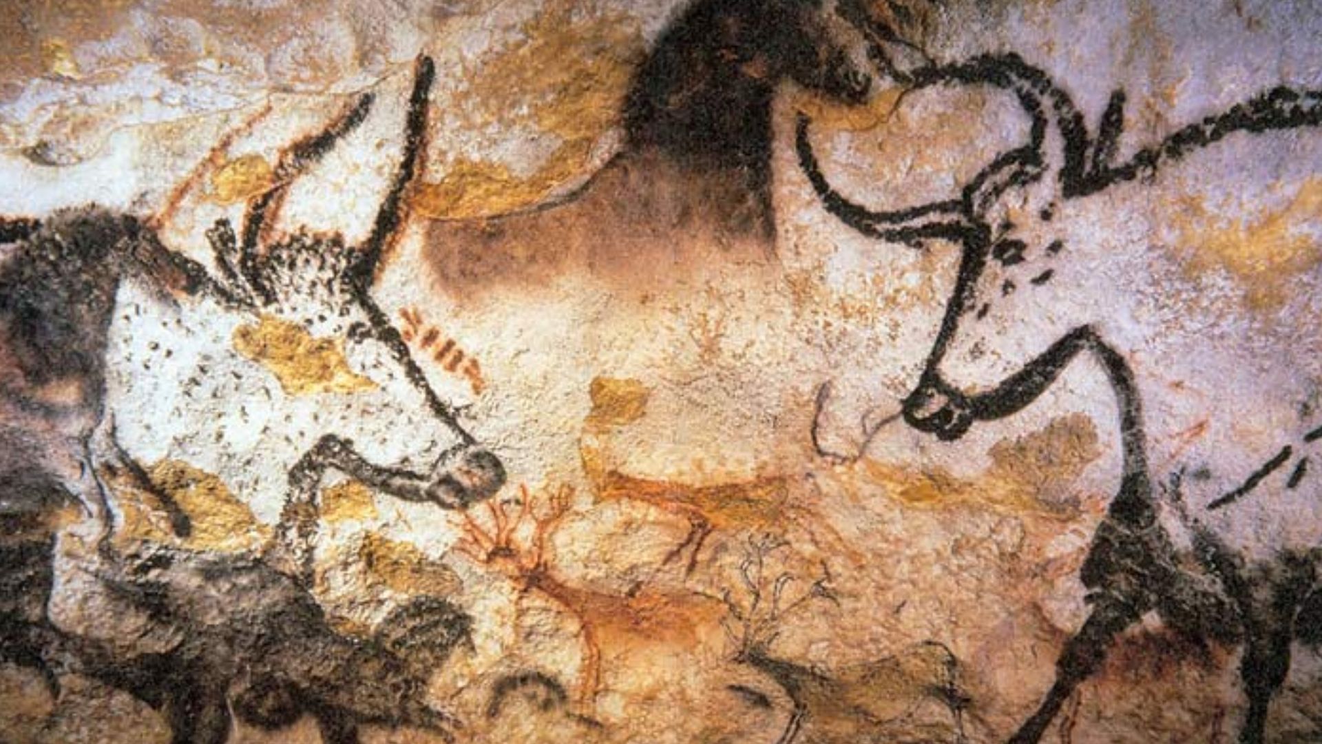 File:Lascaux painting.jpg