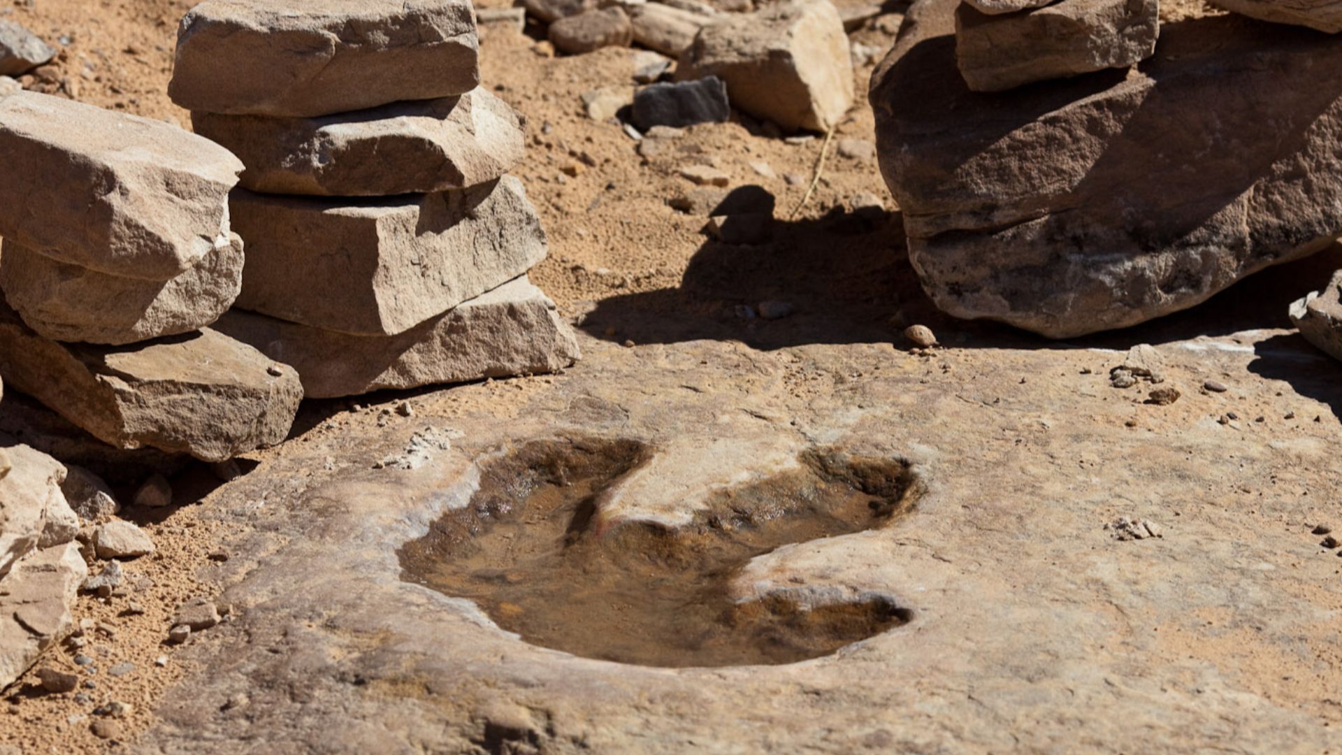 File:Dinosaur footprint (4056320716).jpg