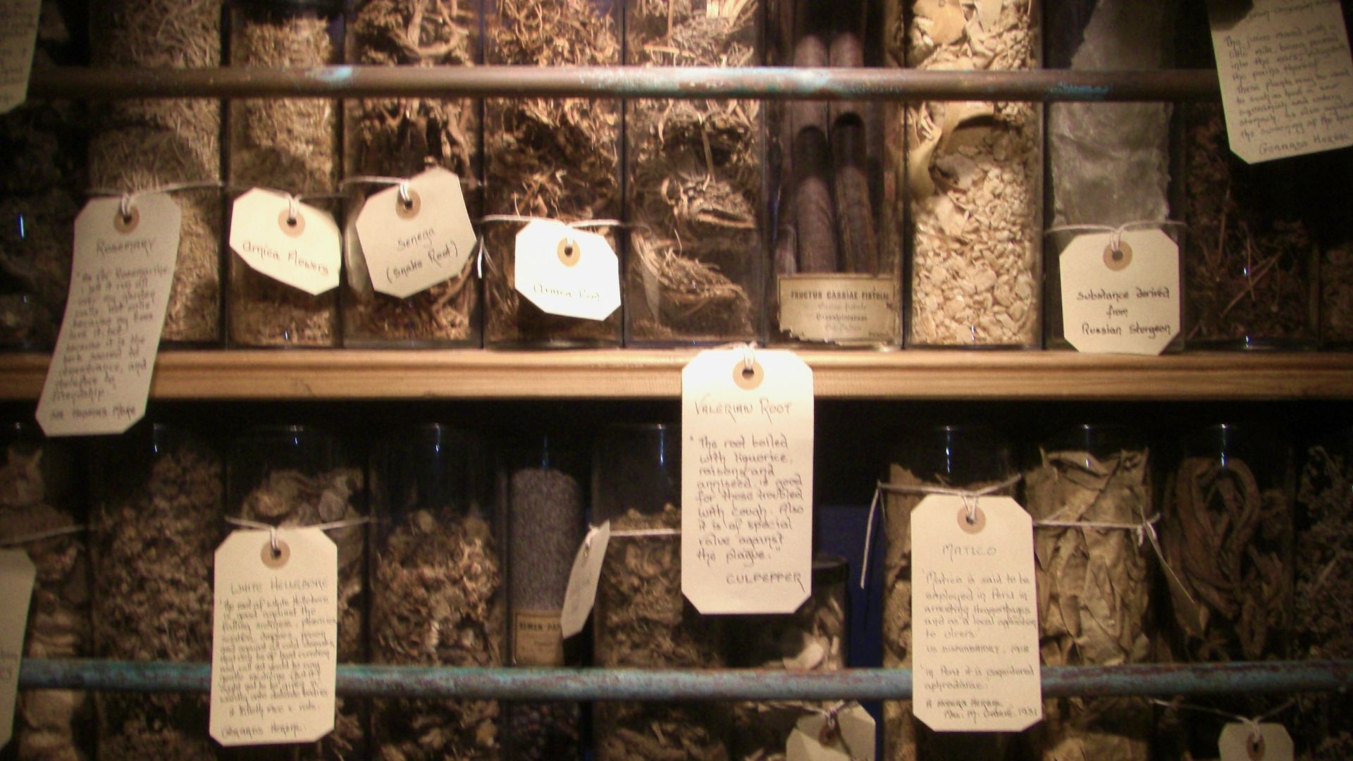 File:Herb collection.jpg