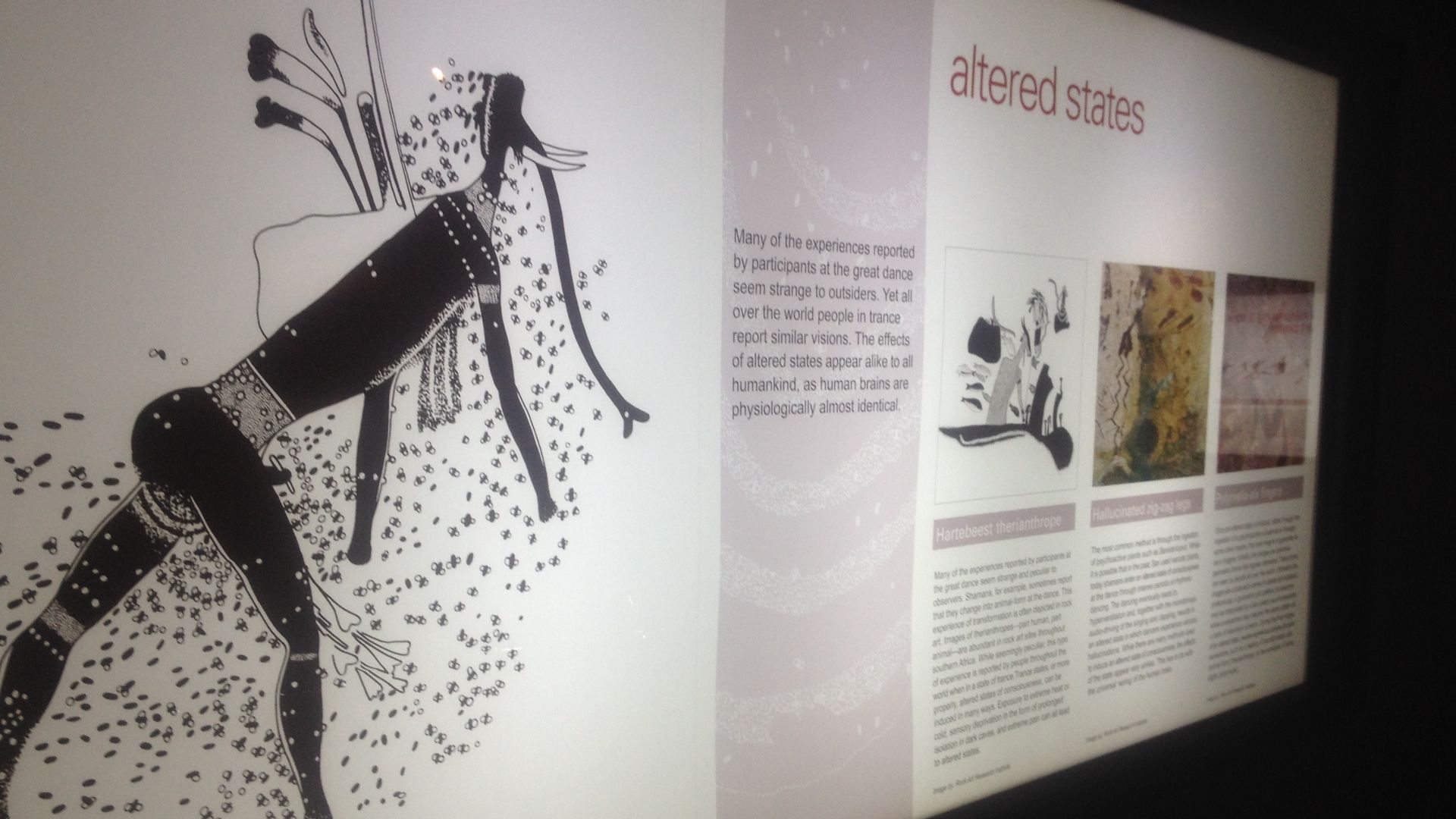 File:Altered States depiction.JPG