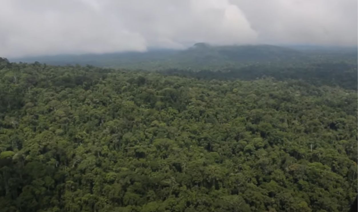 A Cultural Divide Over Meaning