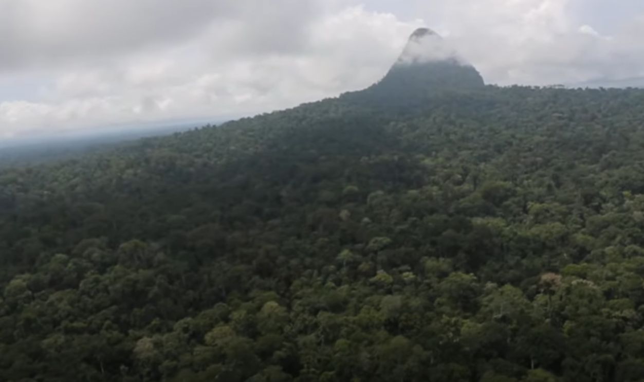 A Cultural Divide Over Meaning (Cont.)