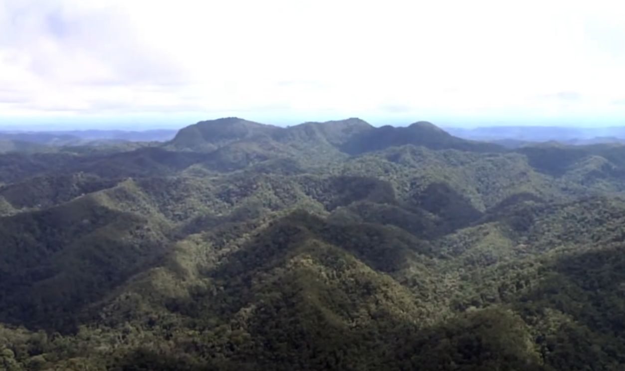 Climbing Paths Remain Undocumented